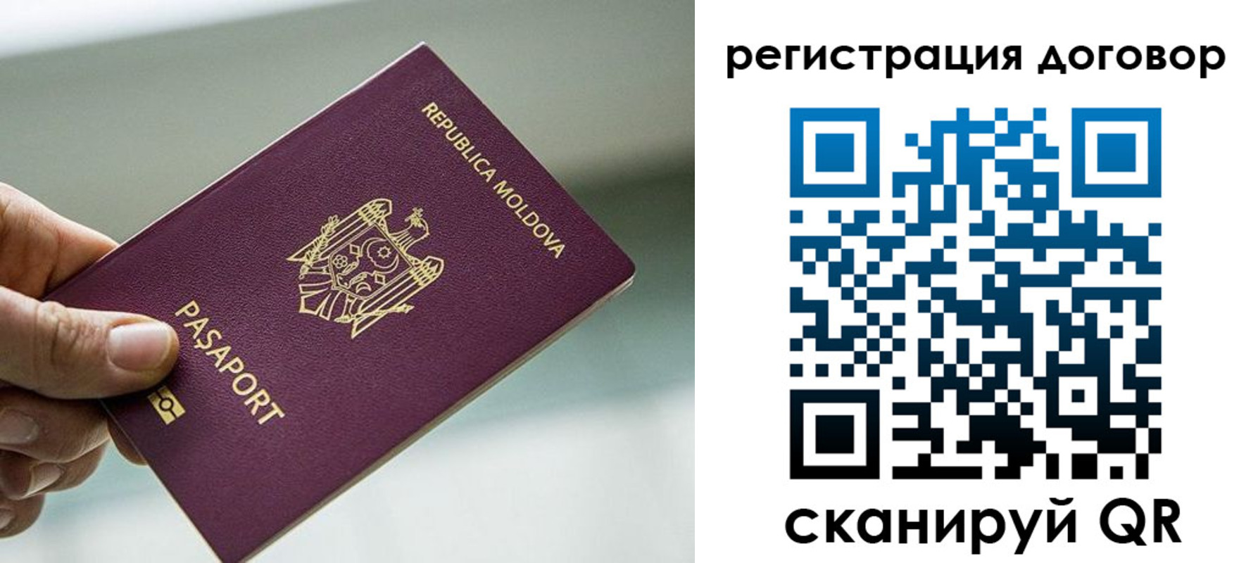 прописка в квартире в Мурманской области